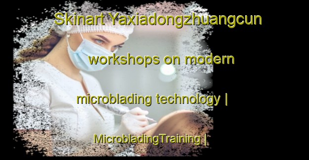 Skinart Yaxiadongzhuangcun workshops on modern microblading technology | MicrobladingTraining | MicrobladingClasses | SkinartTraining-China